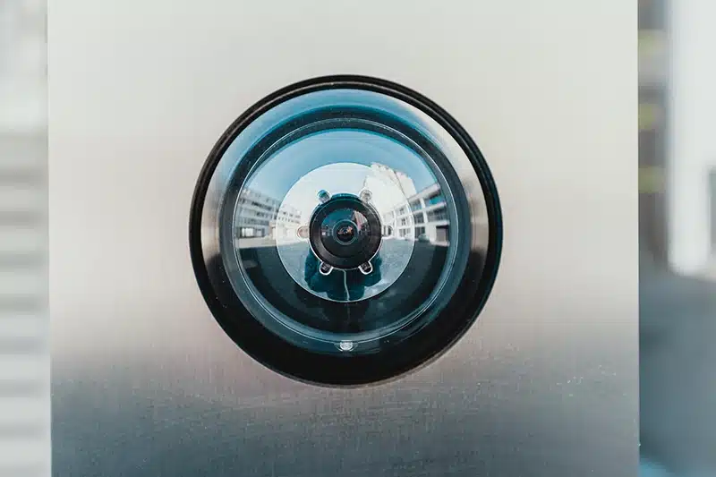 The Best Times of Day to Watch Live Cameras for Different Locations webcam