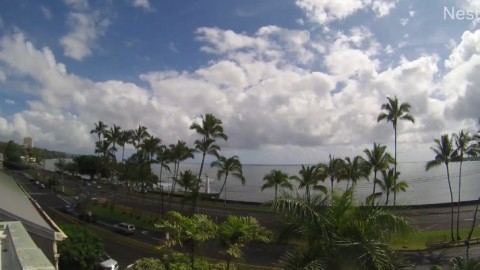 Hilo Bay  from Hawaii webcam