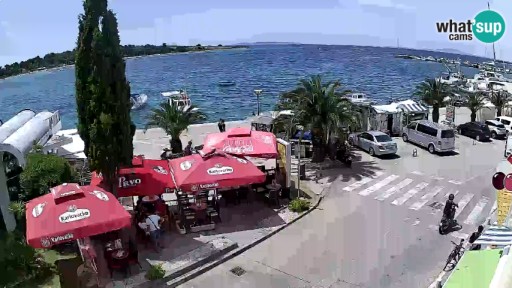 Coast of Novalja webcam