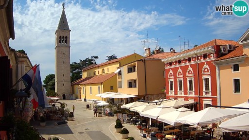 Novigrad - Veliki Square webcam