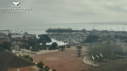 Monterey Bay webcam