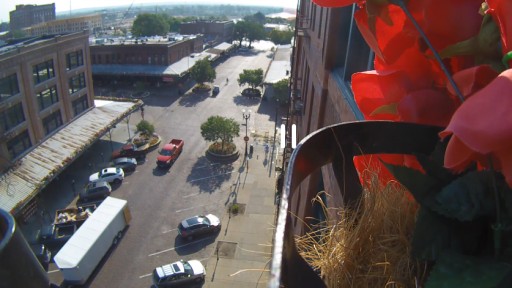 Omaha - Old Market webcam