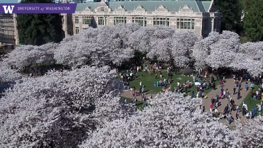 Seattle - University of Washington webcam
