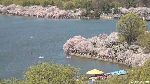 Washington DC - Tidal Basin webcam