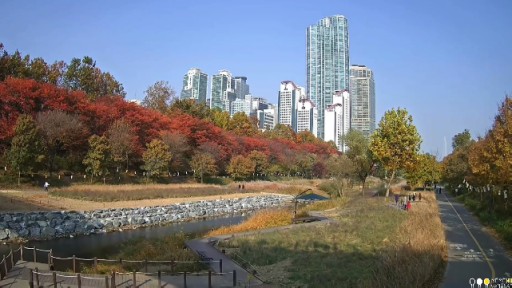 Seoul - Yangjaecheon webcam
